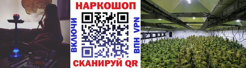 Как найти закладки Задонск Cocaine A PVP Бутират ГАШИШ